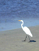 ST. SIMONS ISLAND GEORGIA