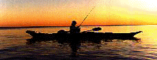 SUNSET ANGLER