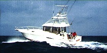 CHARTER FISHING