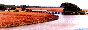 SAPELO BRIDGE/PHOTO BY SANDY JONES