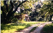 SAPELO HOMESTEAD/PHOTO BY SANDY JONES