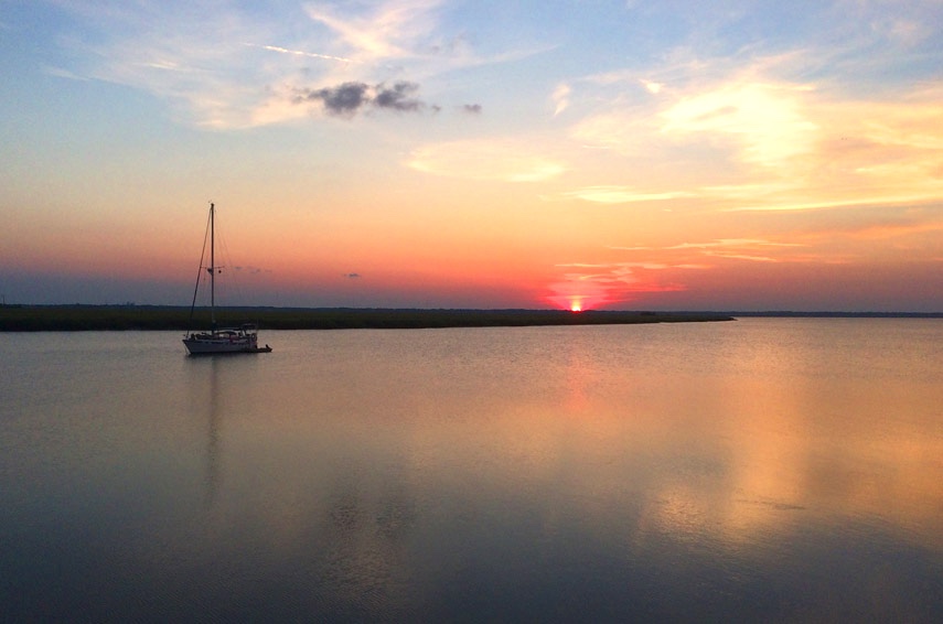 Photo by Sandy Jones c.2025