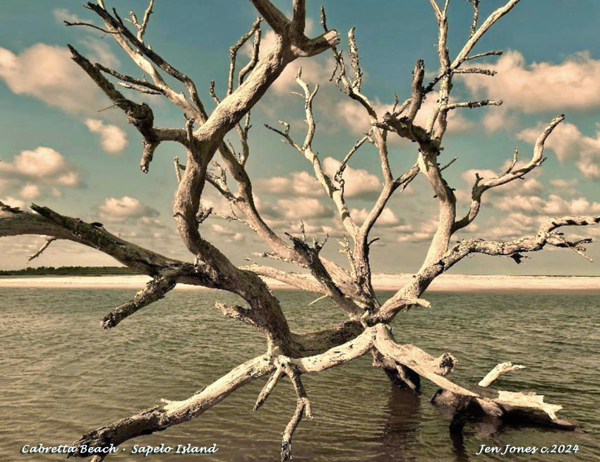 St. Simons Island, Tides